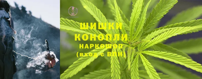 купить наркоту  Каменногорск  Бошки Шишки LSD WEED 